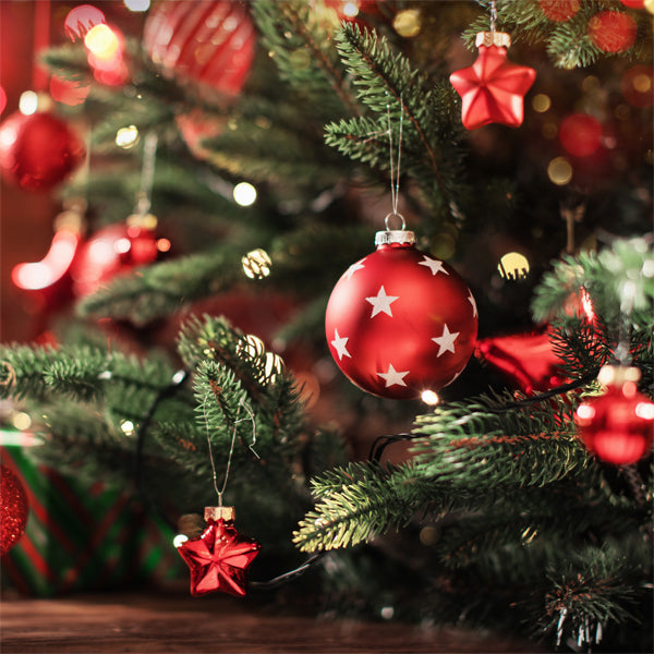 Why We Decorate Christmas Trees: A Deep Dive into Their History and Meaning