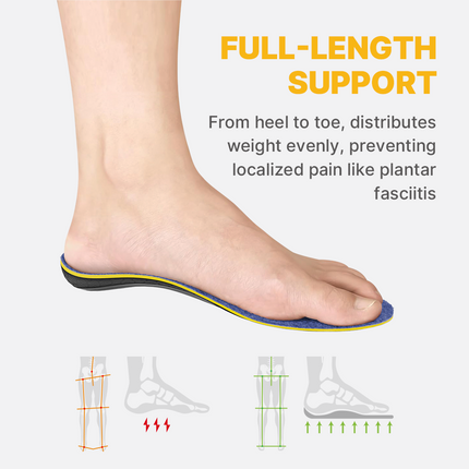Warm Wool Insoles with Arch Support