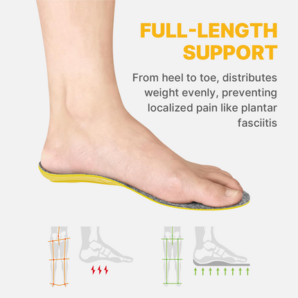 Warm Wool Insoles with Arch Support