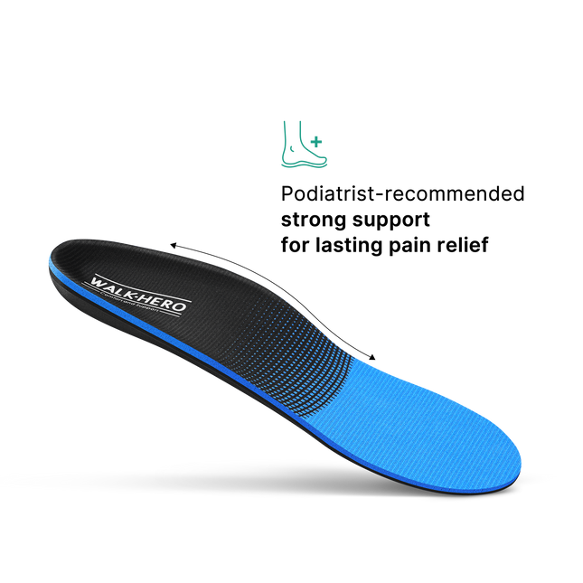 WH-100 Elite - WALKHERO