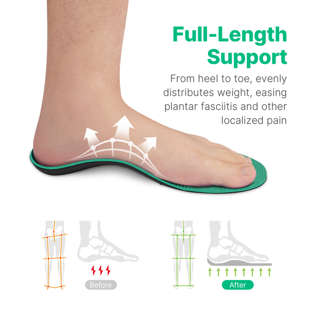 All-Purpose Support Pain Relief Orthotics